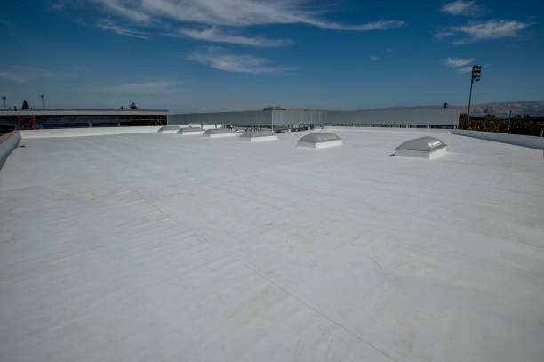 Best Storm Damage Roof Repair  in Midland City, AL