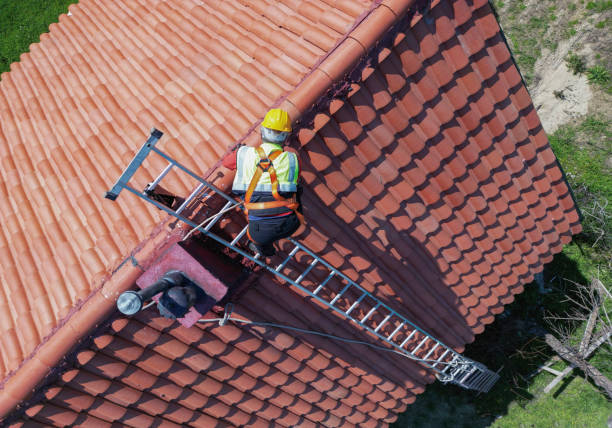 Best Roof Coating and Sealing  in Midland City, AL
