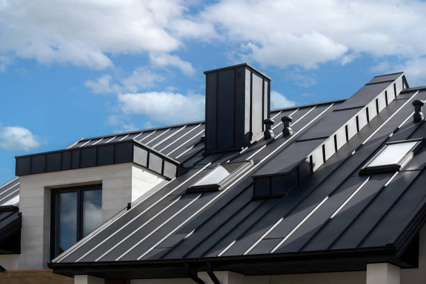 Best Skylight Installation and Repair  in Midland City, AL